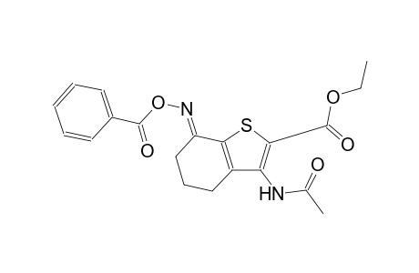 benzo[b]thiophene-2-carboxylic acid, 3-(acetylamino)-7-[(benzoyloxy)imino]-4,5,6,7-tetrahydro-, ethyl ester, (7E)-
