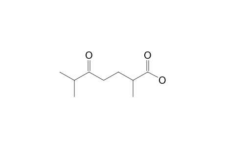 2,6-Dimethyl-5-oxoheptanoic acid