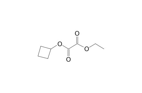 Oxalic acid, cyclobutyl ethyl ester