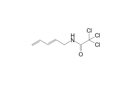 2,2,2-trichloro-N-(penta-2,4-dienyl)acetamide