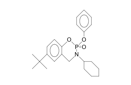 6-tert-Butyl-3-cyclohexyl-2-phenoxy-3,4-dihydro-2H-1,3,2-benzoxazaphosphorine 2-oxide