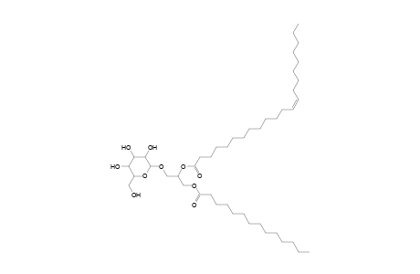 MGDG 14:0_22:1