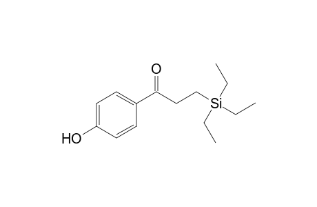4-[3'-(Triethylsilyl)propionyl]]-phenol