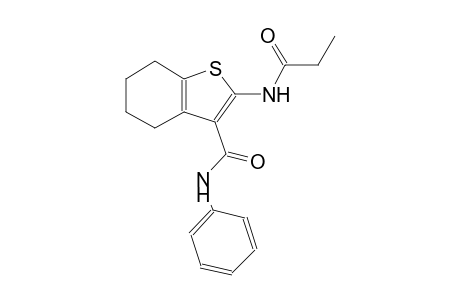 N-phenyl-2-(propionylamino)-4,5,6,7-tetrahydro-1-benzothiophene-3-carboxamide