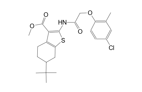 methyl 6-tert-butyl-2-{[(4-chloro-2-methylphenoxy)acetyl]amino}-4,5,6,7-tetrahydro-1-benzothiophene-3-carboxylate