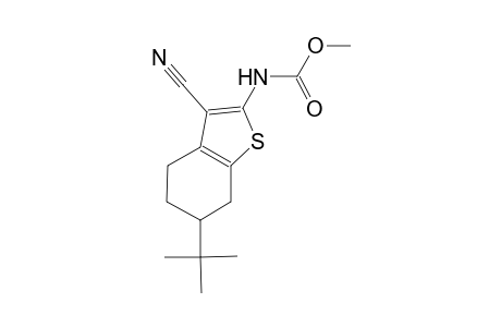 methyl 6-tert-butyl-3-cyano-4,5,6,7-tetrahydro-1-benzothien-2-ylcarbamate
