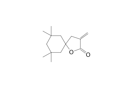 7,7,9,9-Tetramethyl-3-methylen-1-oxaspiro-[4.5]-decan-2-on