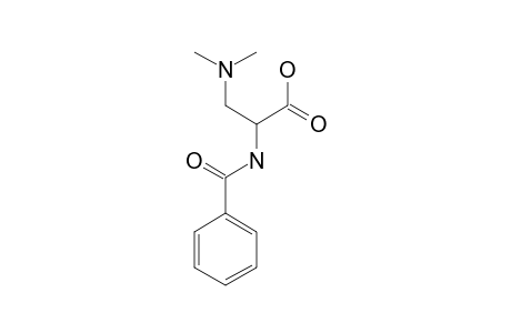 2-BENZAMIDO-3-(DIMETHYLAMINO)-PROPANOIC-ACID