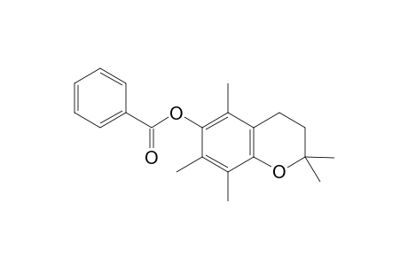 2H-1-Benzopyran-6-ol, 3,4-dihydro-2,2,5,7,8-pentamethyl-, benzoate