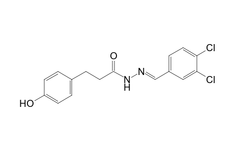 p-hydroxyhydrocinnamic acid, (3,4-dichlorobenzylidene)hydrazide