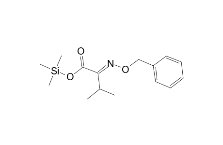 Butanoic acid, 3-methyl-2-[(phenylmethoxy)imino]-, trimethylsilyl ester