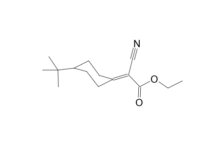 1-[(Ethoxycarbonyl)(cyano)methylene]-4(eq)-(t-butyl)cyclohexane