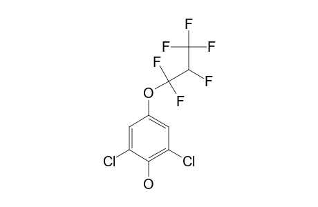 2,6-DICHLORO-4-(2H-PERFLUOROPROPYLOXY)-PHENOL