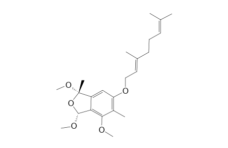 MARISTACHONE_E