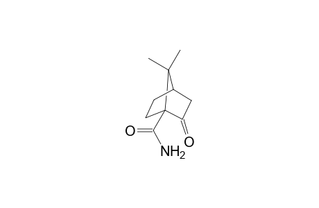 2-keto-7,7-dimethyl-norbornane-1-carboxamide