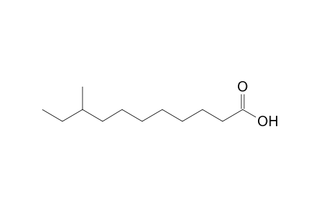 9-Methylundecanoic acid
