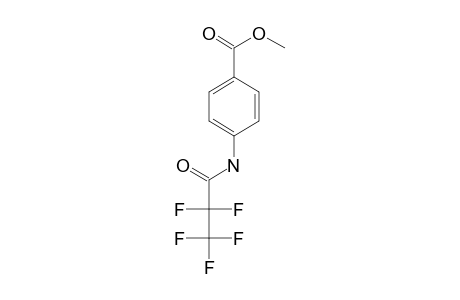 Methyl N-pentafluoropropionylaminobenzoate