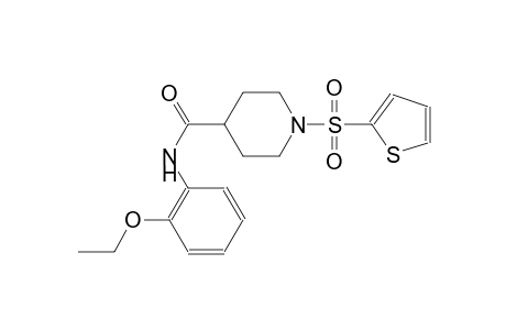 N-(2-ethoxyphenyl)-1-(2-thienylsulfonyl)-4-piperidinecarboxamide