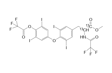 N,O-bis(trifluoroacetyl)-[1,2-C(13)]-thyroxyne methyl ester