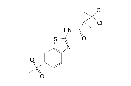 2,2-dichloro-1-methyl-N-[6-(methylsulfonyl)-1,3-benzothiazol-2-yl]cyclopropanecarboxamide