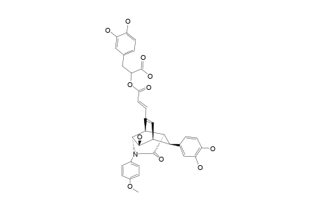 YUNNANEIC-ACID-D;3,8'-(N-(4-METHOXYPHENYL))-GAMMA-LACTAME-DERIVATIVE