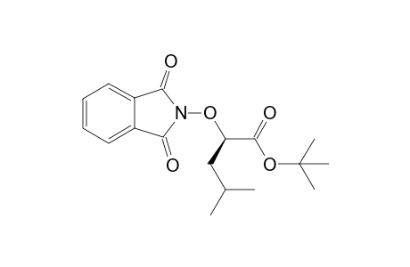 D-tert-butyl 2-phthalimidoxy-4-methylpentanoate