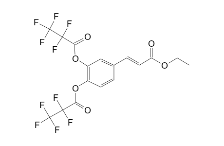 Ethyl trans-caffeate, bis(pentafluoropropionate)