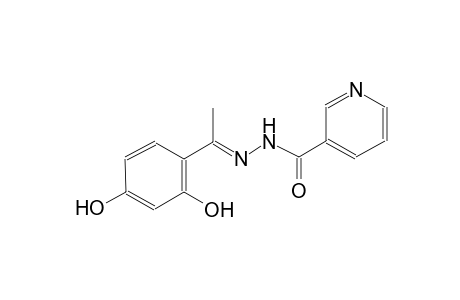 N'-[(E)-1-(2,4-dihydroxyphenyl)ethylidene]nicotinohydrazide