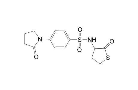 4-(2-oxopyrrolidin-1-yl)-N-(2-oxothiolan-3-yl)benzene-1-sulfonamide