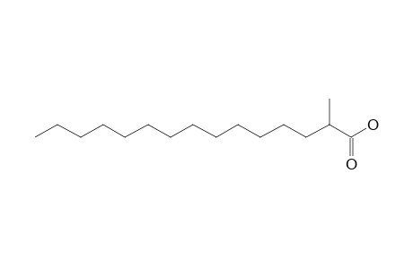 2-Methylpentadecanoic acid