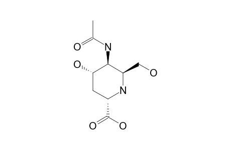 (2S,4S,5S,6S)-5-ACETAMIDO-4-HYDROXY-6-(HYDROXYMETHYL)-PIPERIDINE-2-CARBOXYLIC-ACID