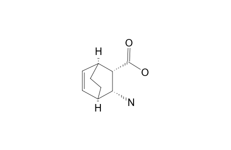 DI-ENDO-3-AMINOBICYCLO-[2.2.2]-OCT-5-ENE-2-CARBOXYLIC-ACID