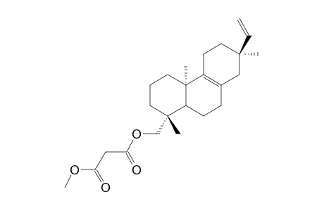 METHYL-19-MALONYLOXY-ENT-ISOPIMARA-8(9),15-DIENE
