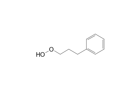 3-(Dioxidanyl)propylbenzene