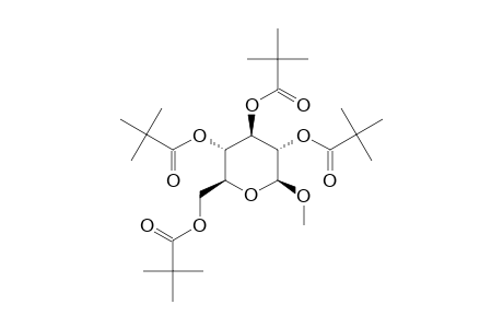 METHYL-2,3,4,6-TETRA-O-PIVALOYL-BETA-D-GLUCOPYRANOSIDE
