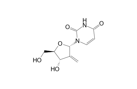 1-(2-Deoxy-2-methylene-.beta.,D-erythro-pentafuranosyl)uracil