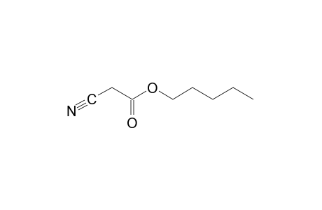 cyanoacetic acid, pentyl ester