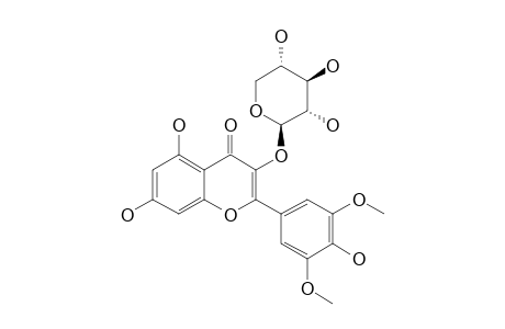SYRINGETIN-3-O-BETA-XYLOPYRANOSIDE