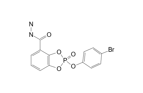 2-(4-BROMOPHENOXY)-1,3,2-BENZODIOXA-PHOSPHOLE-4-CARBOHYDRAZIDE-2-OXIDE