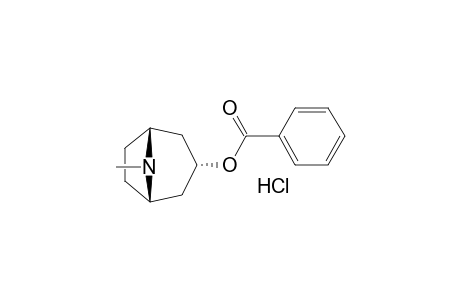 3-α-Benzoyloxytropane HCl