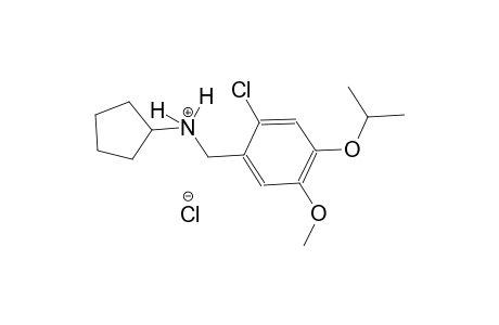 N-(2-chloro-4-isopropoxy-5-methoxybenzyl)cyclopentanaminium chloride