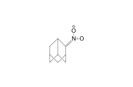 Adamantane-2-nitronate anion