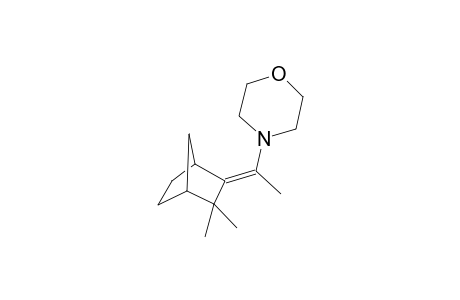 Morpholine, 4-[1-(3,3-dimethylbicyclo[2.2.1]hept-2-ylidene)ethyl]-