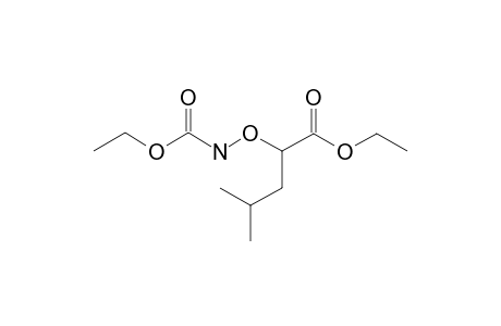 CARBAMIC ACID, /1-CARBOXY-3-METHYLBUTOXY/-, DIETHYL ESTER