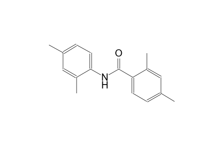 N-(2,4-dimethylphenyl)-2,4-dimethylbenzamide