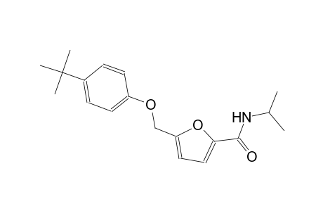 5-[(4-tert-butylphenoxy)methyl]-N-isopropyl-2-furamide