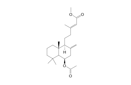 Methyl 6..beta.-(acetyloxy)-Labda-8(17),13-dien-15-oate