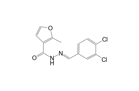 N'-[(E)-(3,4-dichlorophenyl)methylidene]-2-methyl-3-furohydrazide