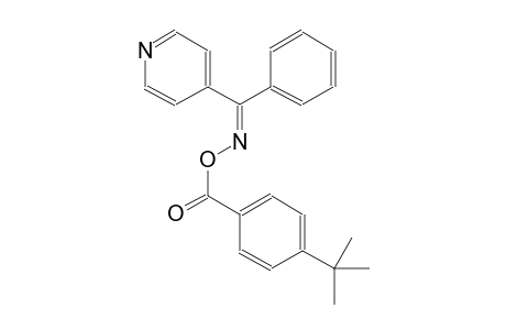 (Z)-phenyl(4-pyridinyl)methanone O-(4-tert-butylbenzoyl)oxime