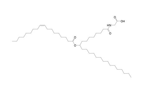 NAGly 18:1/24:0